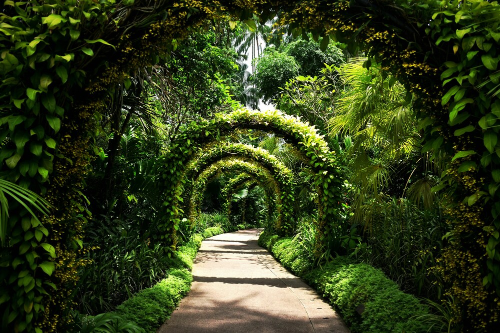 Singapore Food Guide : Exploring Botanic Gardens outdoor adventures