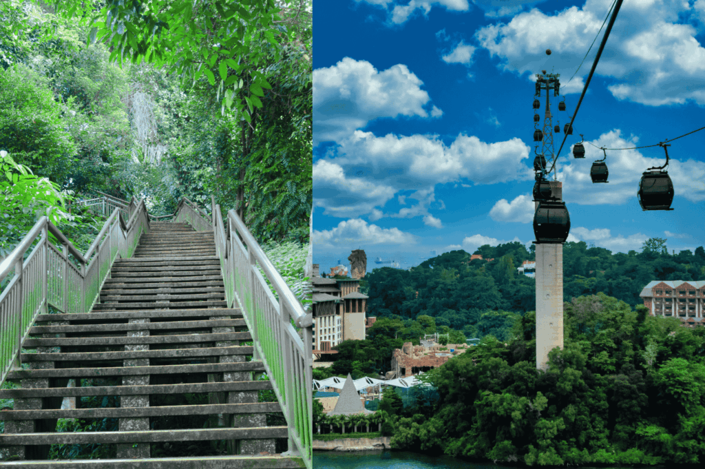 Southern Ridges Singapore: Complete Hiking Guide (2025)