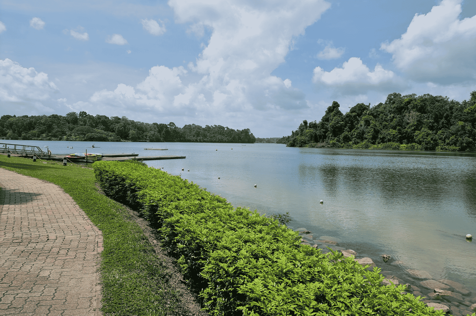 Tranquil lakeside scene along Singapore’s Southern Ridges, featuring a paved walkway bordered by manicured hedges on the left and a calm, reflective lake at center. Floating platforms and white buoys dot the water, while dense forest lines the far shore under a bright blue sky. The image evokes a peaceful pause in the hike—where nature, water, and quiet design converge to offer rest and reflection.