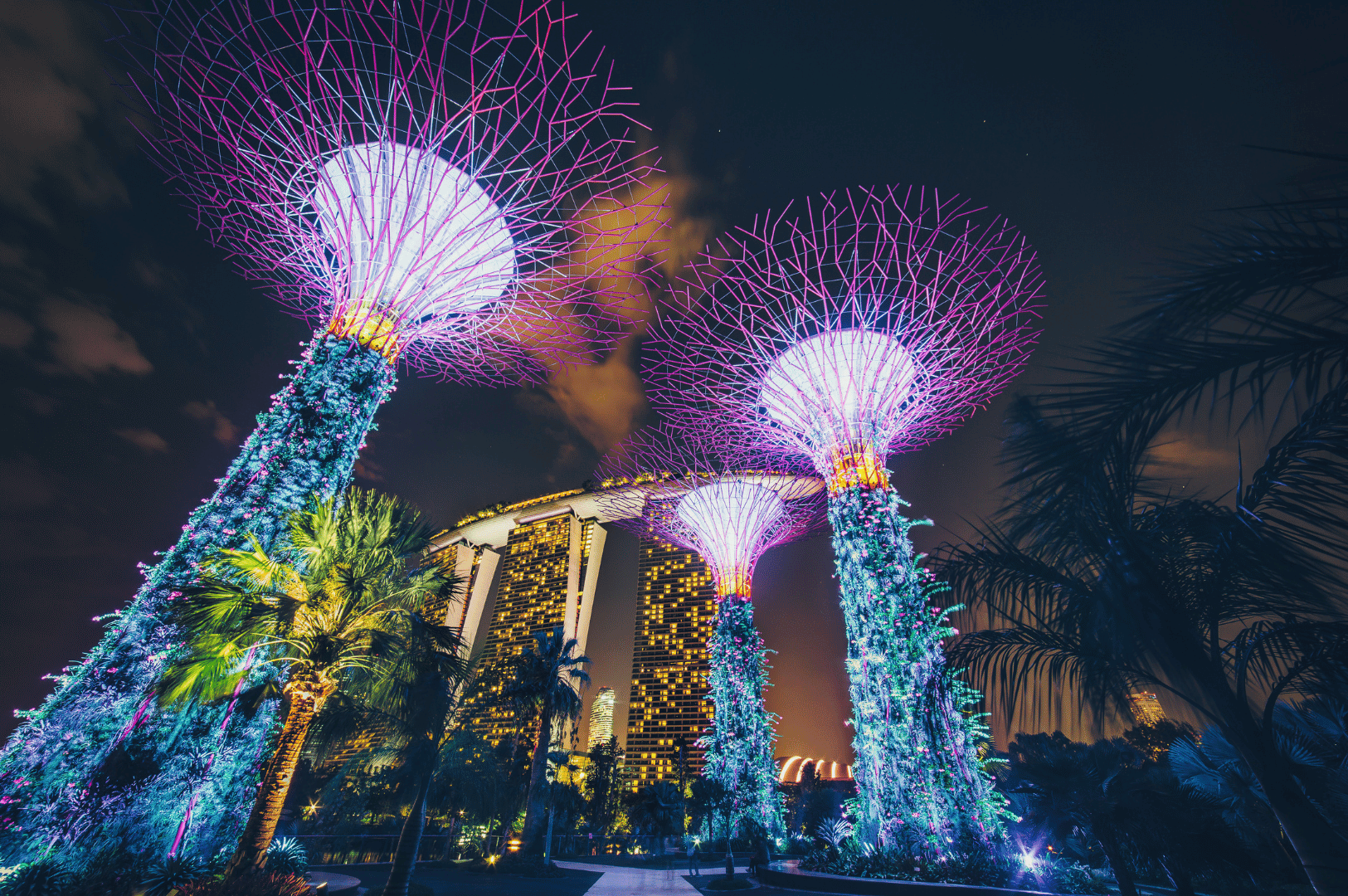 Night view of Singapore’s Gardens by the Bay with glowing Supertrees and the Marina Bay skyline, setting the mood for rooftop bar vibes.