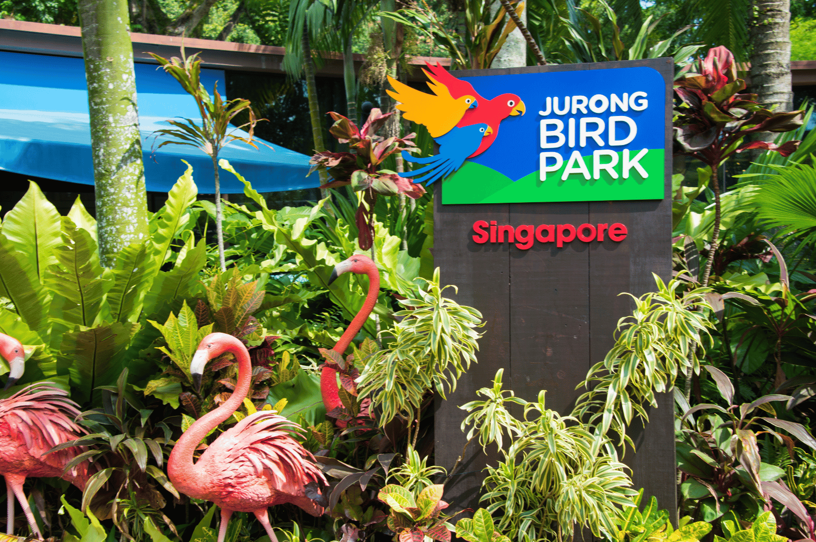 A vibrant entrance to Jurong Bird Park framed by lush tropical greenery and playful flamingo statues, with a colorful sign welcoming visitors—an inviting gateway to one of Singapore’s beloved wildlife attractions, perfect for families seeking nature-rich experiences beyond the city’s blockbuster theme parks.