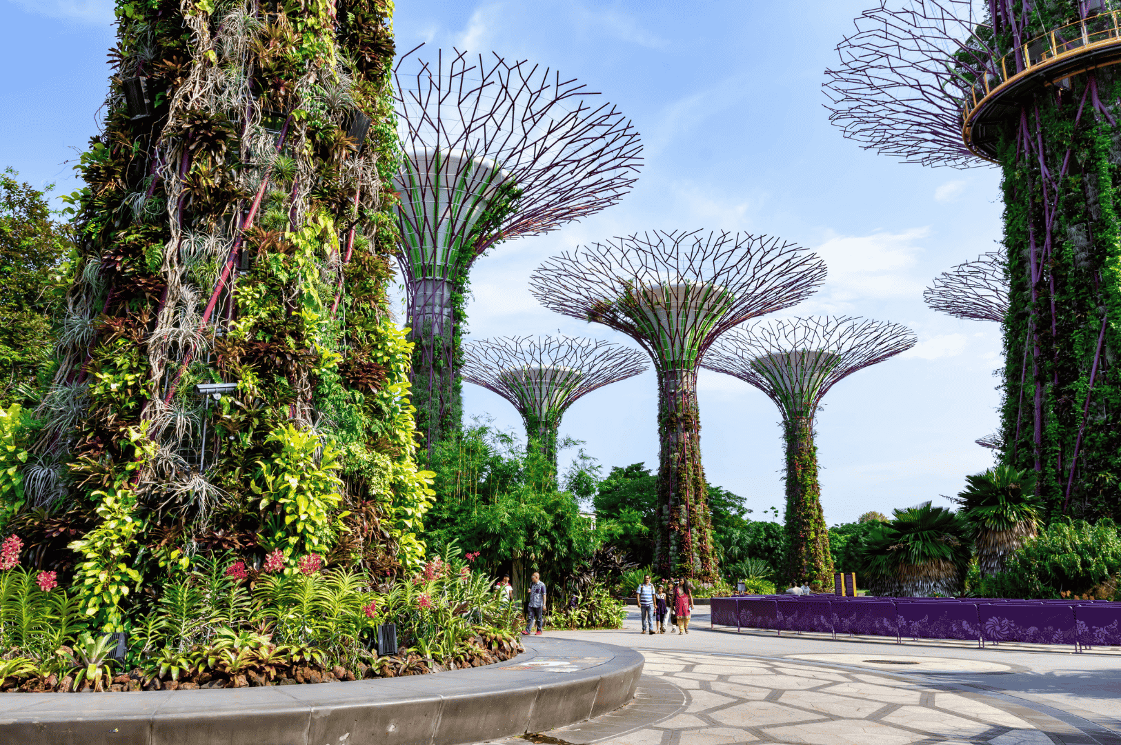 Towering Supertrees rise from a patterned plaza at Gardens by the Bay, their lush vertical gardens and skywalk inviting families into a futuristic oasis—where nature, design, and imagination converge in one of Singapore’s most awe-inspiring attractions beyond the theme park spotlight.