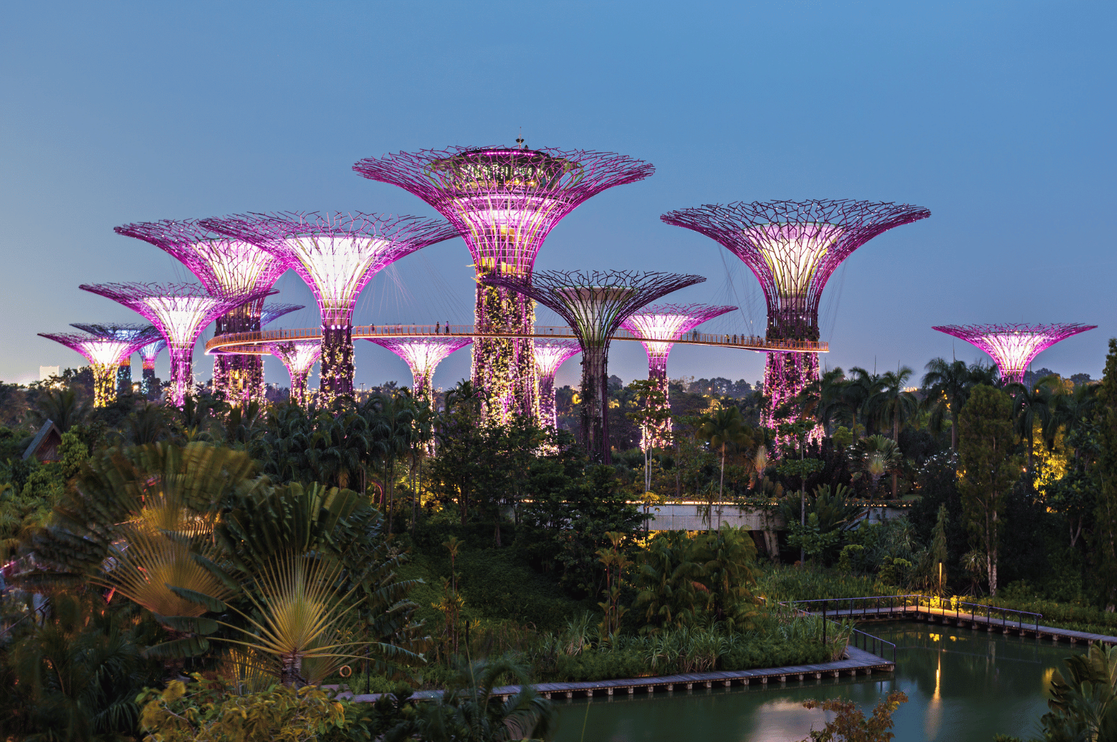 The Supertree Grove at Gardens by the Bay in Singapore illuminated with vibrant pink and purple lights at twilight, surrounded by lush greenery—showcasing the city’s futuristic and eco-friendly urban design for a weekend itinerary.