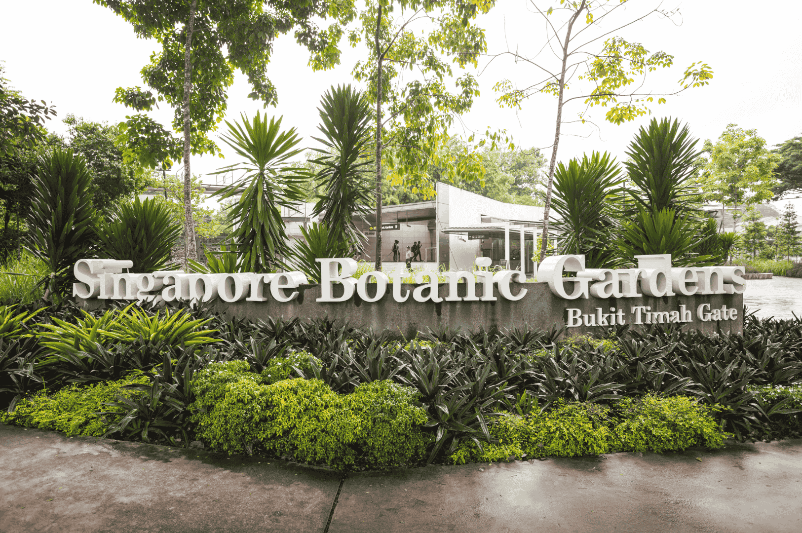 The Bukit Timah Gate entrance to the Singapore Botanic Gardens, marked by a stone sign surrounded by lush tropical greenery, highlighting the city’s natural beauty and biodiversity as part of a weekend itinerary.