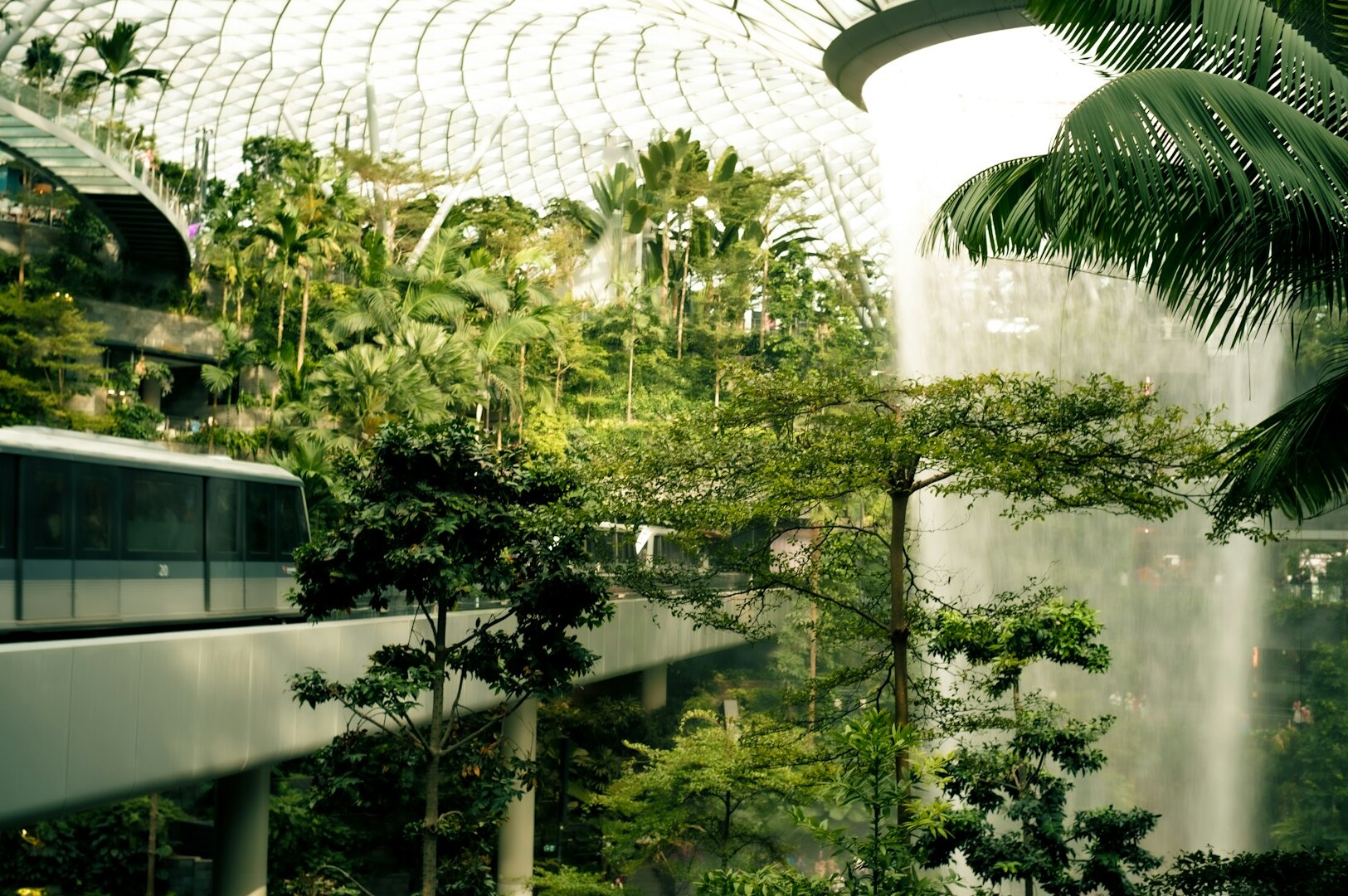 A train travels through a lush tropical forest, passing a cascading waterfall, highlighting future hotel developments.