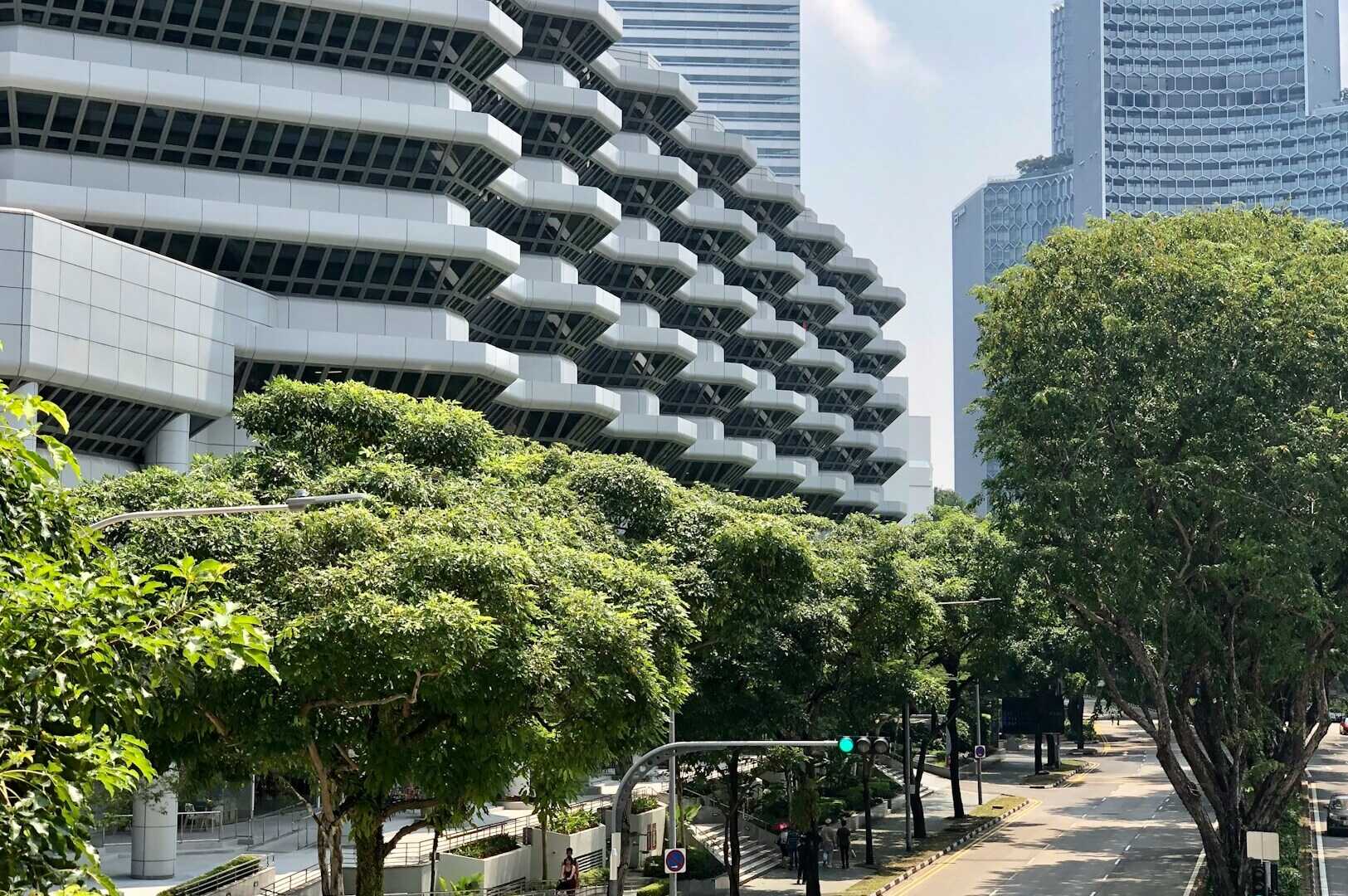 A vibrant Singapore neighborhood street, showcasing numerous trees alongside contemporary buildings.