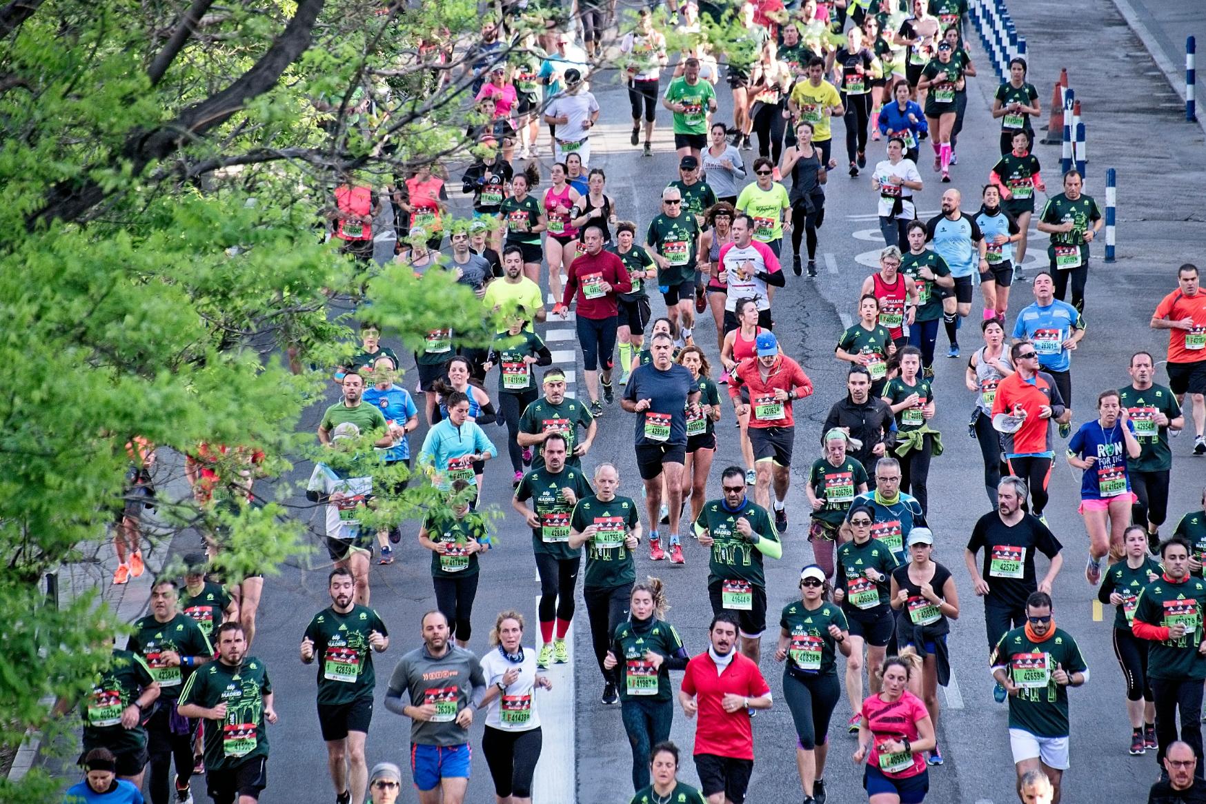  This high-angle shot captures a large, diverse group of marathon participants running down a paved road lined with lush green trees. The scene is filled with runners wearing numbered bibs and various athletic outfits, creating a sense of organized movement and community spirit during the race.