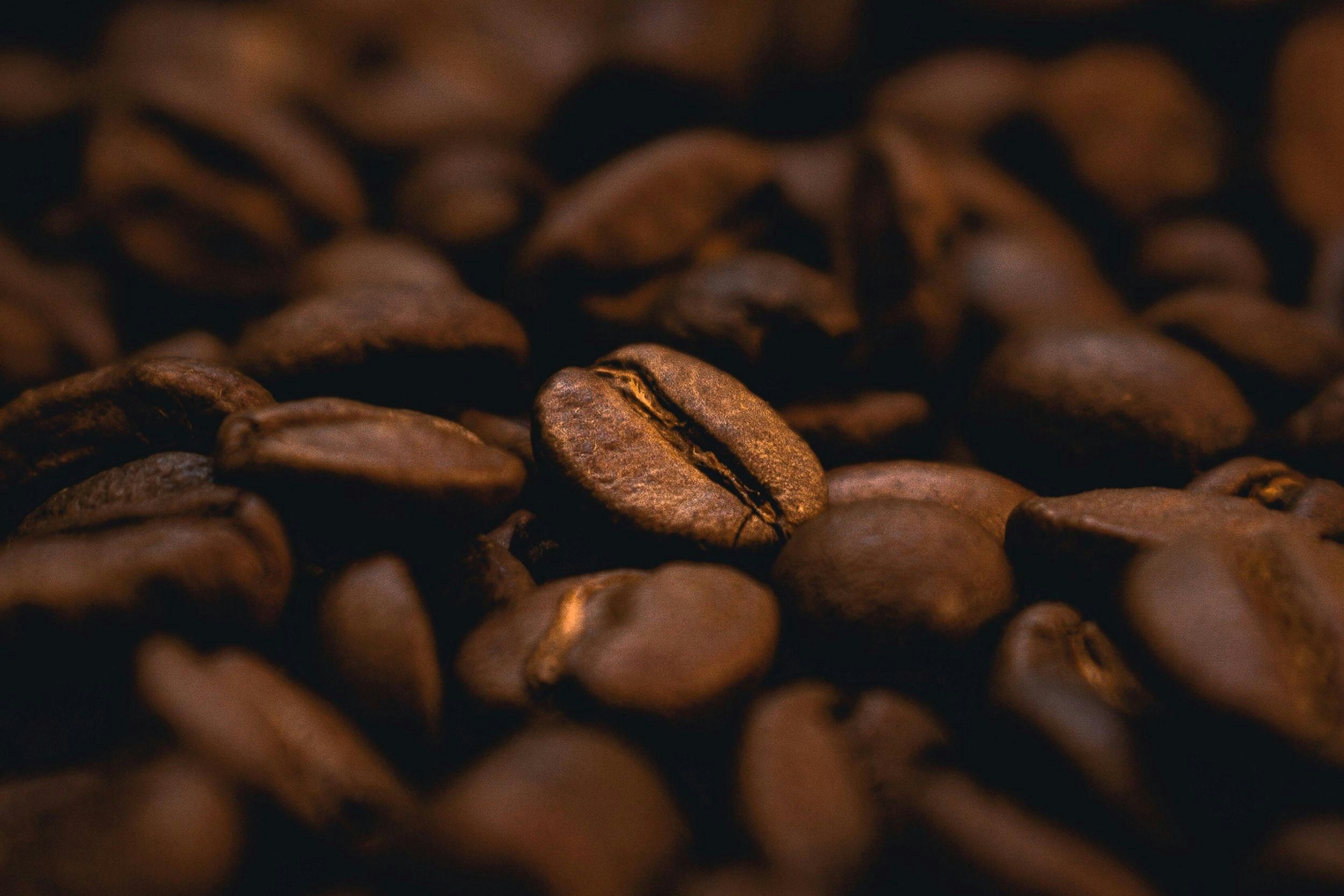 A macro shot focuses intently on a single roasted coffee bean, revealing its smooth texture and deep central crack amidst a pile of others. The shallow depth of field blurs the surrounding beans into a soft, dark background, emphasizing the warm, golden-brown tones of the roast.