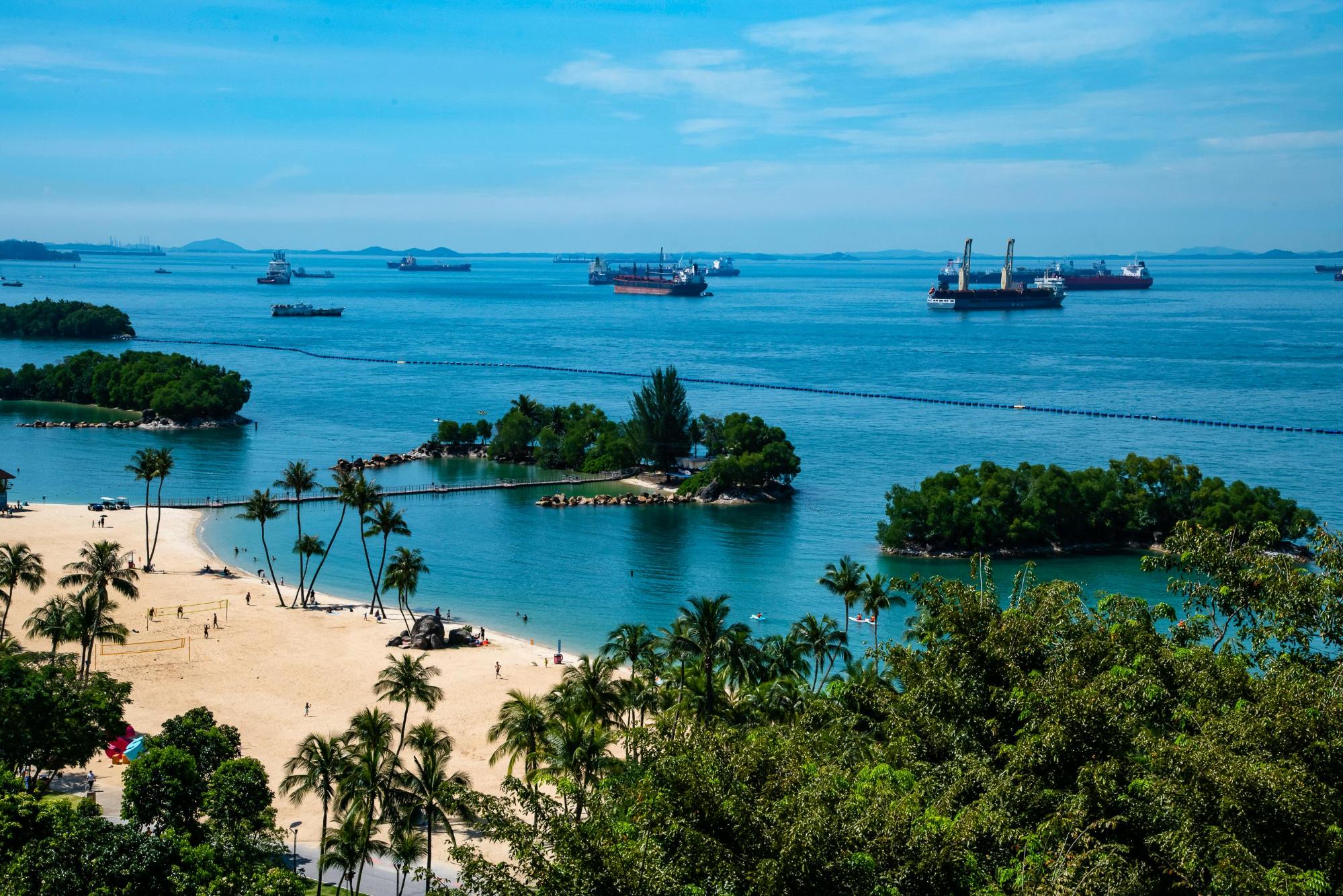 This vibrant coastal landscape features a sunny, sandy beach lined with palm trees and small, lush islets scattered across calm turquoise waters. The scene transitions to a busy maritime horizon, where numerous large cargo ships are anchored beneath a bright blue sky.