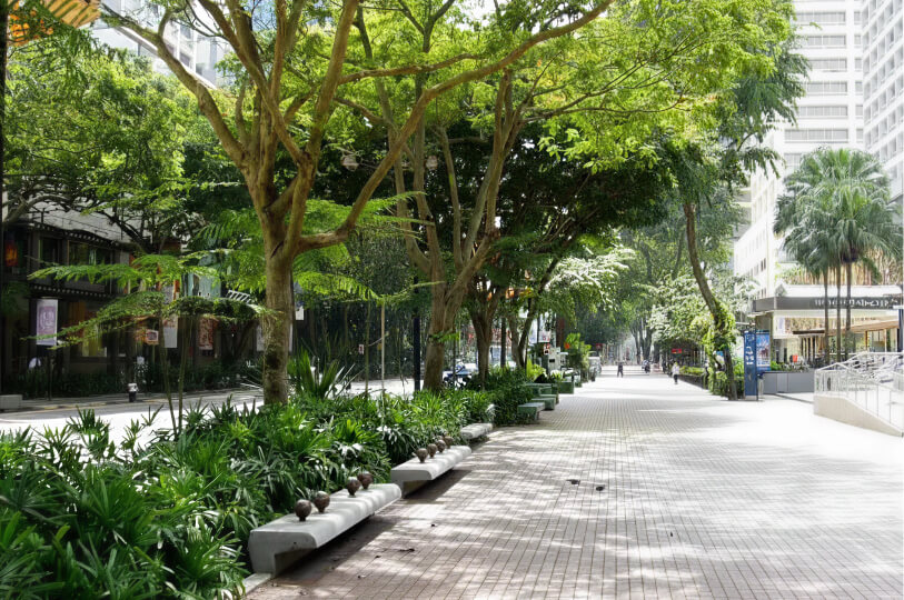 A scenic, tree-lined pedestrian walkway on Orchard Road with stone benches and modern buildings in the background.
