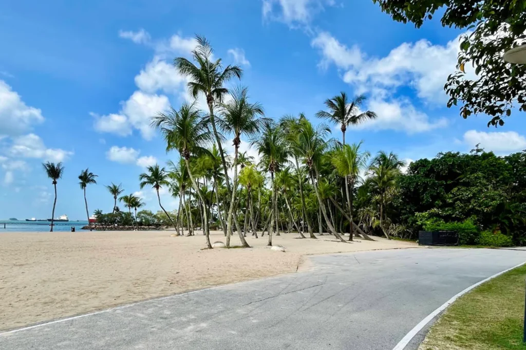 A vibrant, wide-angle outdoor shot of a beach area in Sentosa. A paved grey pathway with a white border curve in the foreground, leading toward a cluster of tall, slender coconut palms growing out of the white sand. Beyond the trees, the turquoise ocean is visible under a bright blue sky filled with fluffy white clouds. A few cargo ships are docked on the distant horizon, and lush green forest borders the right side of the path.