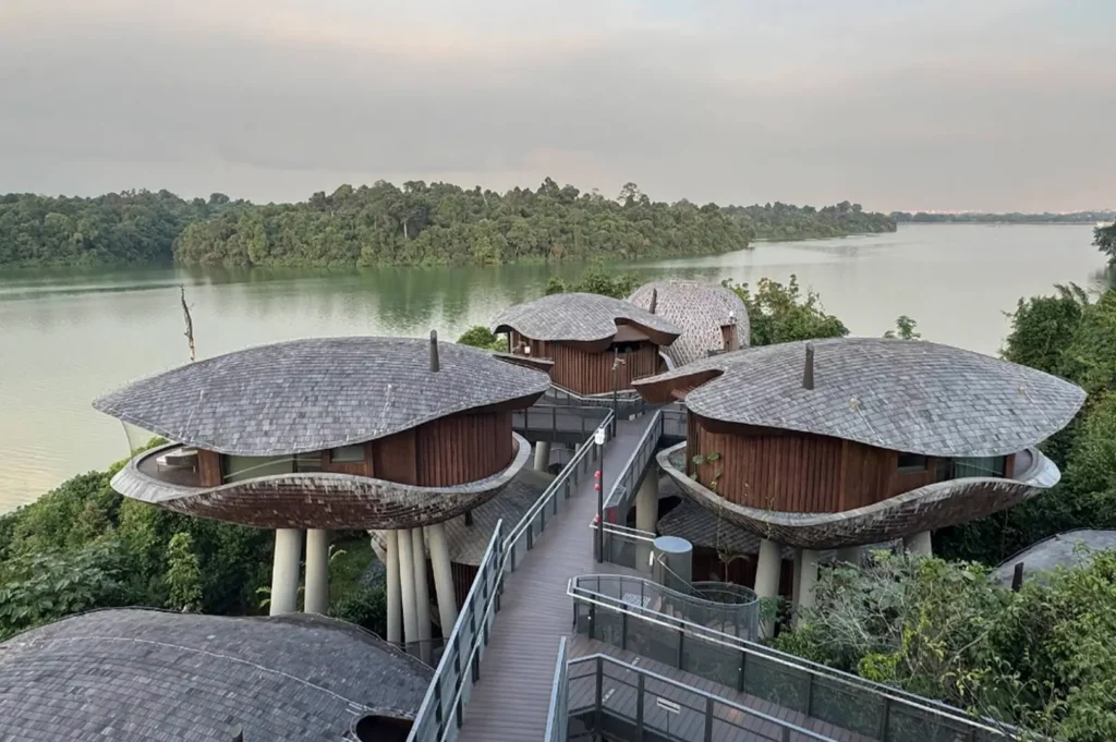 A high-angle outdoor shot shows unique, seed-pod-shaped wooden villas perched on high concrete stilts above a lush canopy. A wooden boardwalk with grey metal railings connects the structures. In the background, a calm, green lake is surrounded by a dense, tropical forest under a soft, overcast sky.