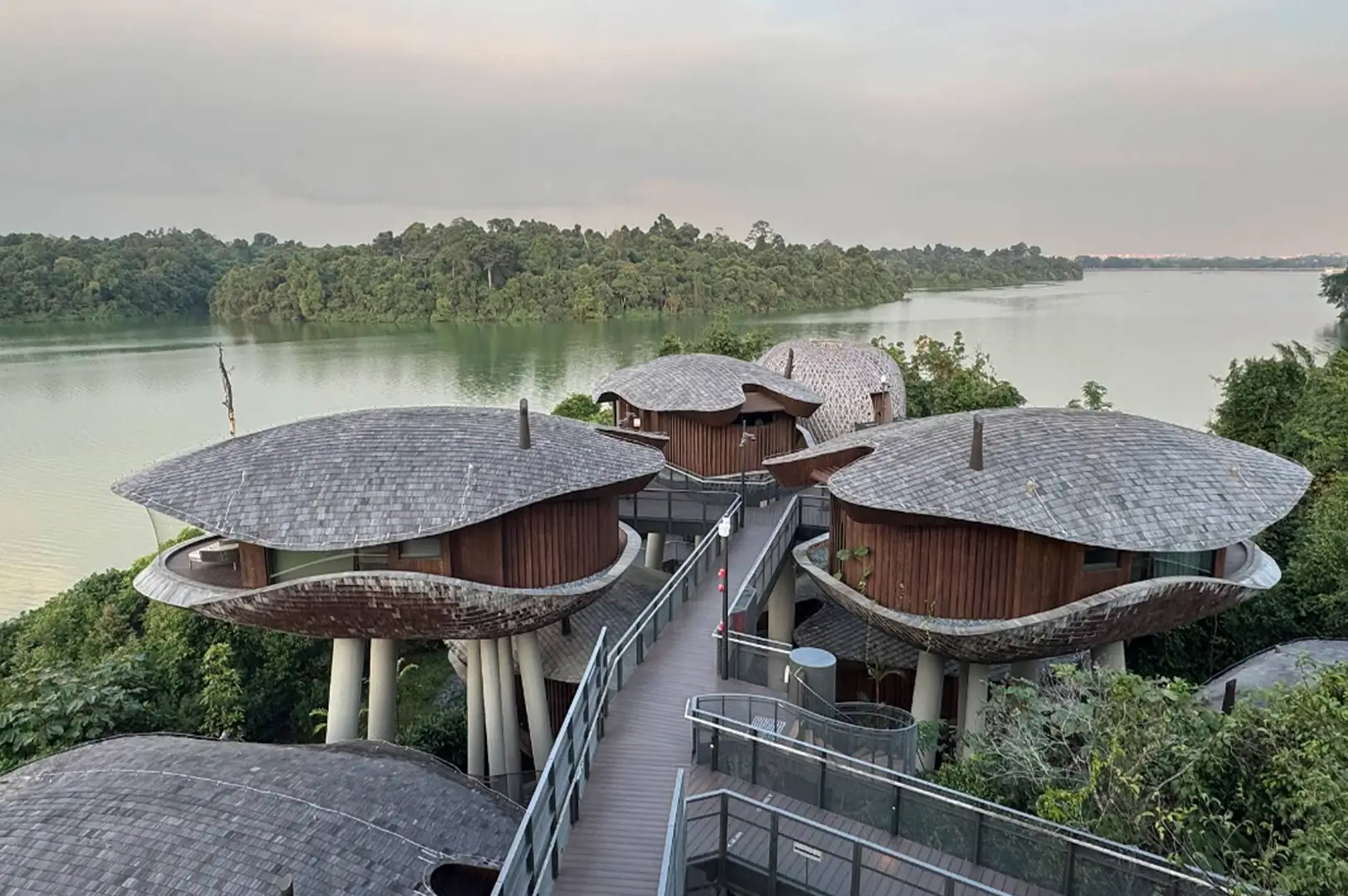 A high-angle outdoor shot shows unique, seed-pod-shaped wooden villas perched on high concrete stilts above a lush canopy. A wooden boardwalk with grey metal railings connects the structures. In the background, a calm, green lake is surrounded by a dense, tropical forest under a soft, overcast sky.