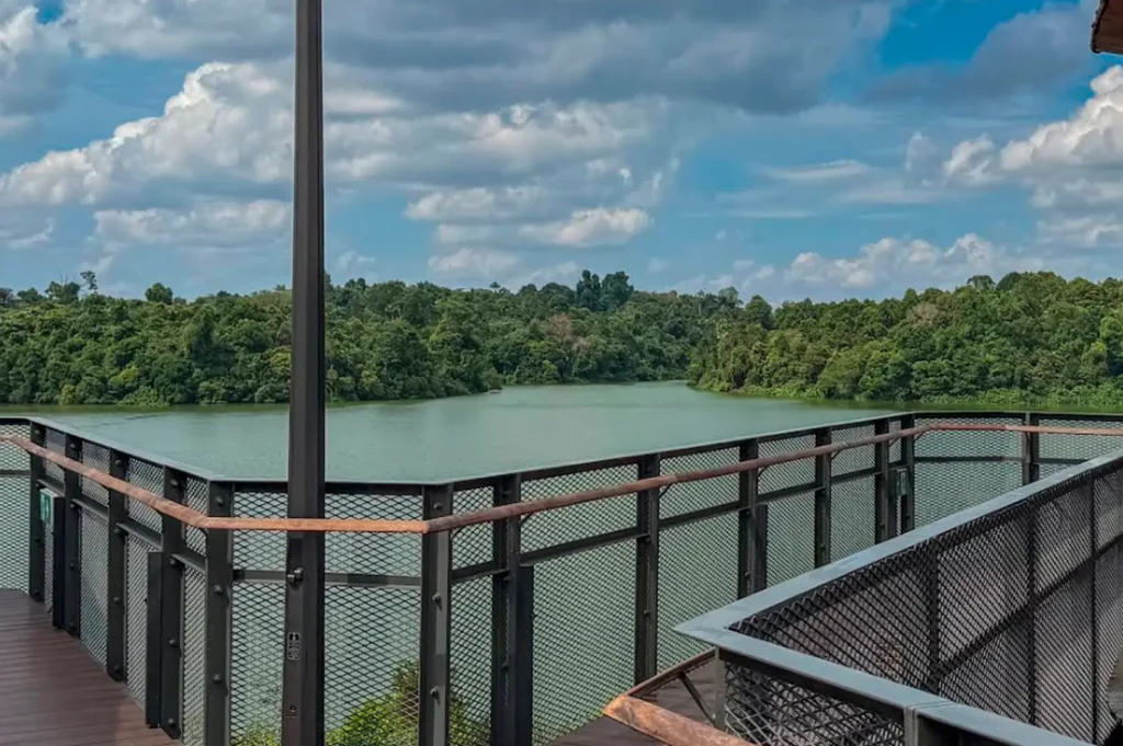 A wooden walkway with dark metal mesh railings overlooks a vast, scenic landscape. Below and beyond the railing, a wide, calm river or lake winds through a dense, vibrant green jungle. The sky above is bright blue with scattered, fluffy white clouds.