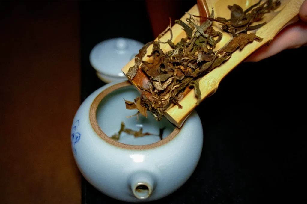 Premium Chinese tea leaves being prepared for brewing at Tea Room by Ki-Setsu in Orchard Plaza, Singapore. Loose leaf tea is poured from a bamboo scoop into a traditional porcelain teapot during an authentic Chinese tea tasting experience.
