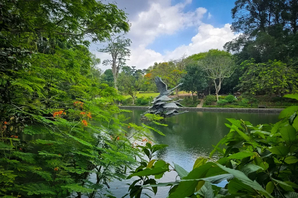 Lush greenery surrounds Swan Lake at Singapore Botanic Gardens, featuring the iconic swan sculpture, tranquil waters, tropical plants, and scenic landscapes in a UNESCO World Heritage garden.