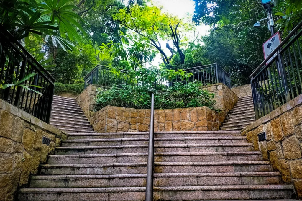 Stone staircase surrounded by lush tropical greenery at Fort Canning Park in Singapore, featuring landscaped terraces, forest foliage, and a scenic walking path through the historic urban park.